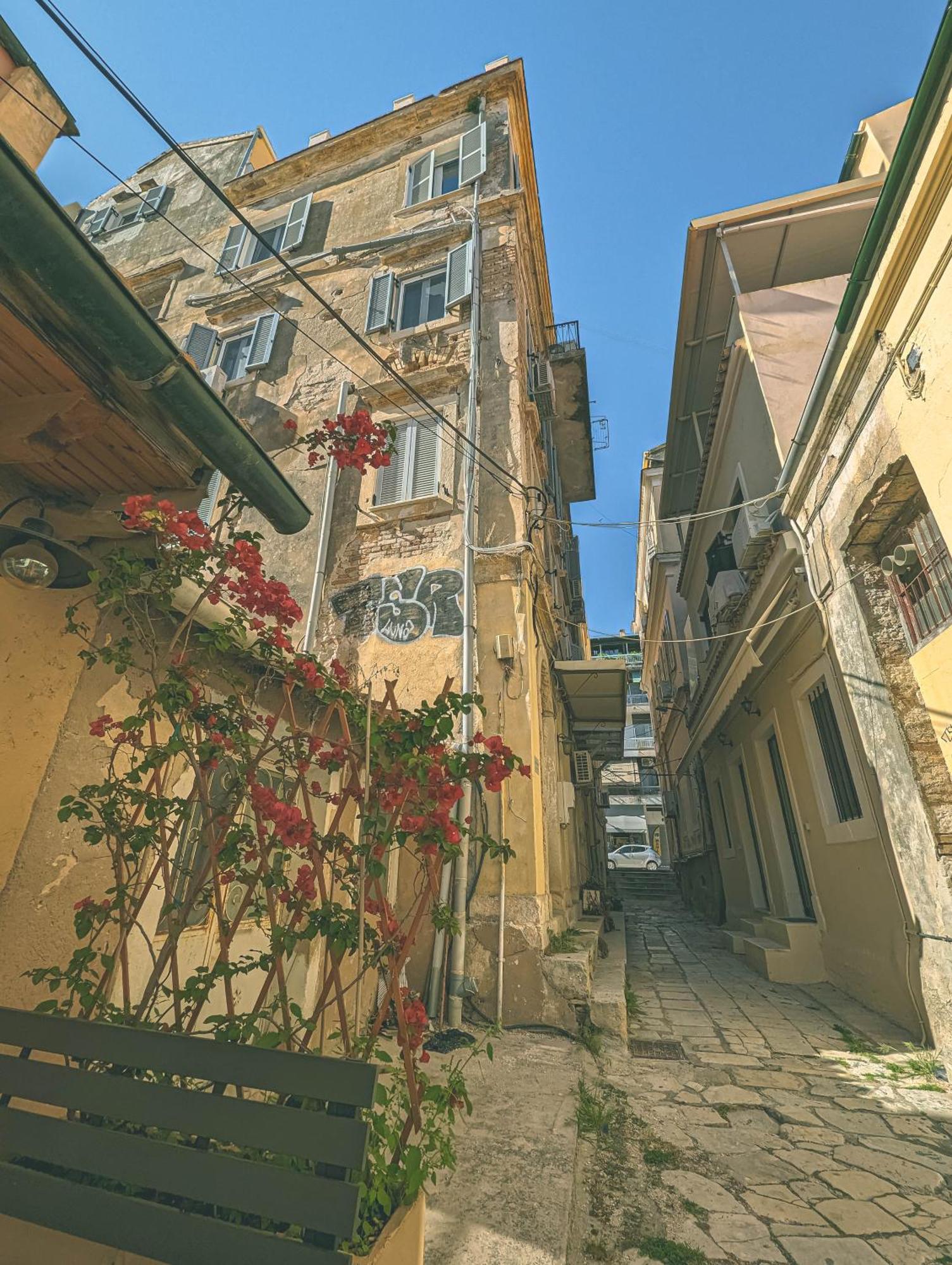 Ionian Pearl Apartments And Suites Corfu  Exteriér fotografie